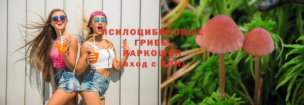 прущий лед Богородицк