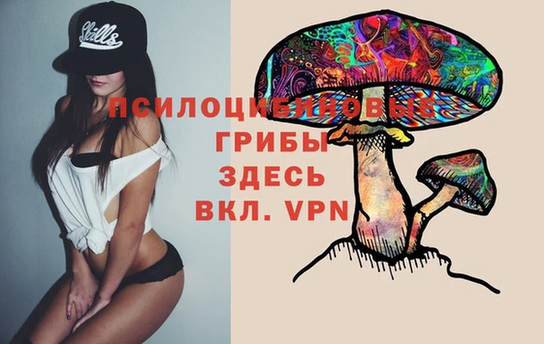 PSILOCYBIN Бугульма