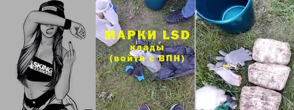 PSILOCYBIN Бугульма