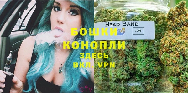 трава Белокуриха