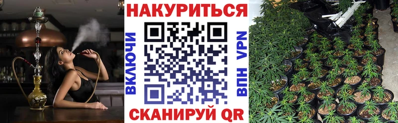 Бошки Шишки семена Мариинский Посад